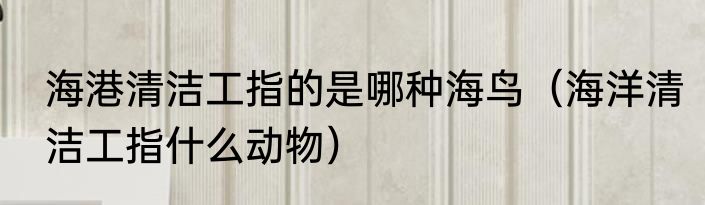 海港清洁工指的是哪种海鸟（海洋清洁工指什么动物）
