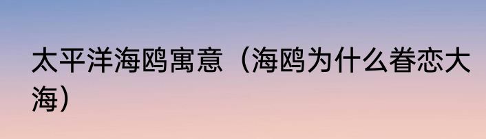 太平洋海鸥寓意（海鸥为什么眷恋大海）