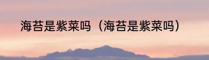 海苔是紫菜吗（海苔是紫菜吗）