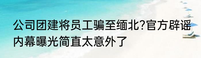 公司团建将员工骗至缅北?官方辟谣 内幕曝光简直太意外了