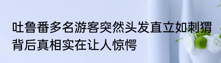 吐鲁番多名游客突然头发直立如刺猬 背后真相实在让人惊愕