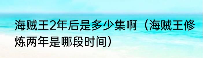 海贼王2年后是多少集啊（海贼王修炼两年是哪段时间）