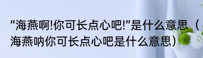 “海燕啊!你可长点心吧!”是什么意思（海燕呐你可长点心吧是什么意思）