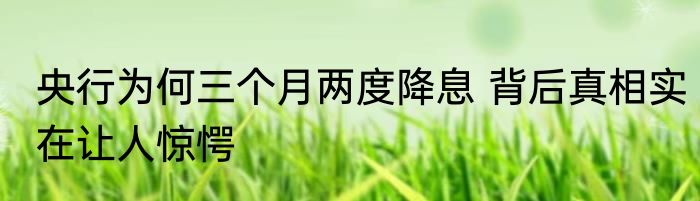 央行为何三个月两度降息 背后真相实在让人惊愕