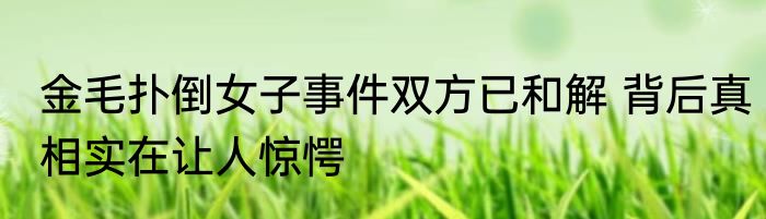 金毛扑倒女子事件双方已和解 背后真相实在让人惊愕