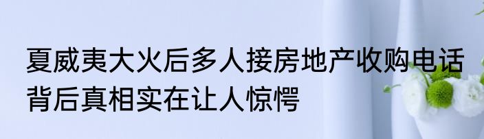 夏威夷大火后多人接房地产收购电话 背后真相实在让人惊愕
