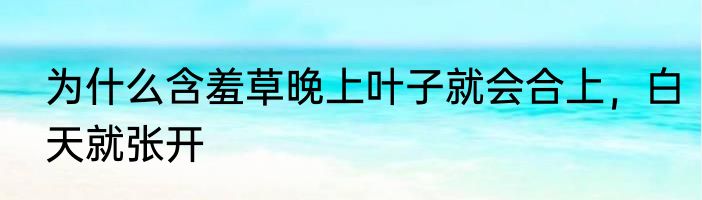为什么含羞草晚上叶子就会合上，白天就张开