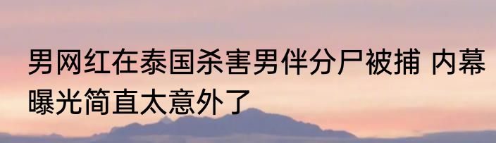 男网红在泰国杀害男伴分尸被捕 内幕曝光简直太意外了