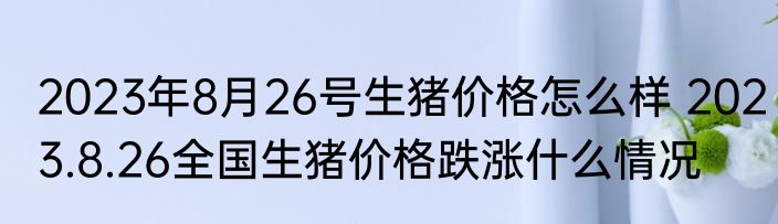 2023年8月26号生猪价格怎么样 2023.8.26全国生猪价格跌涨什么情况