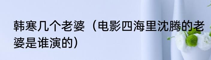 韩寒几个老婆（电影四海里沈腾的老婆是谁演的）