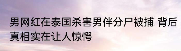 男网红在泰国杀害男伴分尸被捕 背后真相实在让人惊愕