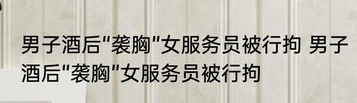 男子酒后“袭胸”女服务员被行拘 男子酒后“袭胸”女服务员被行拘
