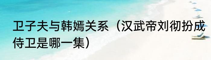 卫子夫与韩嫣关系（汉武帝刘彻扮成侍卫是哪一集）
