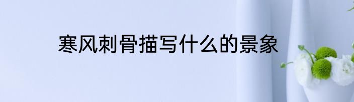 寒风刺骨描写什么的景象