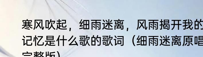 寒风吹起，细雨迷离，风雨揭开我的记忆是什么歌的歌词（细雨迷离原唱完整版）