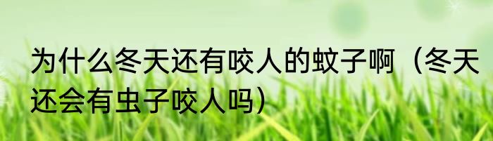 为什么冬天还有咬人的蚊子啊（冬天还会有虫子咬人吗）
