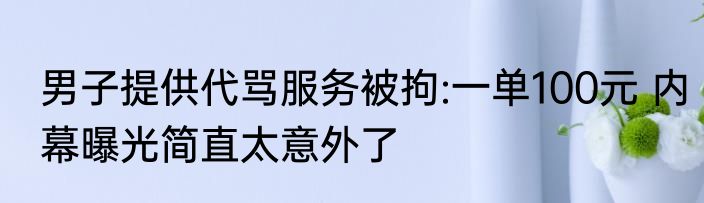 男子提供代骂服务被拘:一单100元 内幕曝光简直太意外了