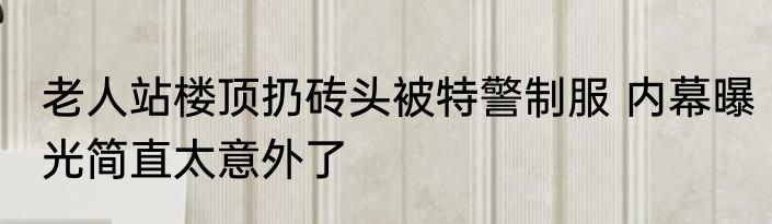 老人站楼顶扔砖头被特警制服 内幕曝光简直太意外了