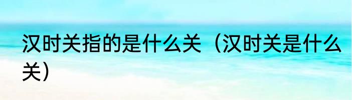 汉时关指的是什么关（汉时关是什么关）