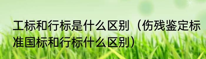工标和行标是什么区别（伤残鉴定标准国标和行标什么区别）