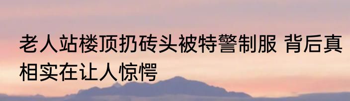 老人站楼顶扔砖头被特警制服 背后真相实在让人惊愕