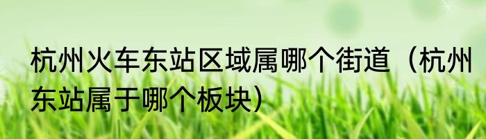 杭州火车东站区域属哪个街道（杭州东站属于哪个板块）