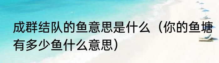 成群结队的鱼意思是什么（你的鱼塘有多少鱼什么意思）