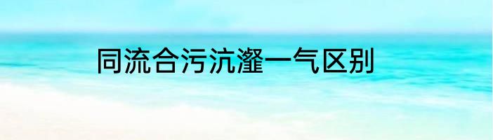 同流合污沆瀣一气区别