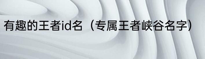 有趣的王者id名（专属王者峡谷名字）