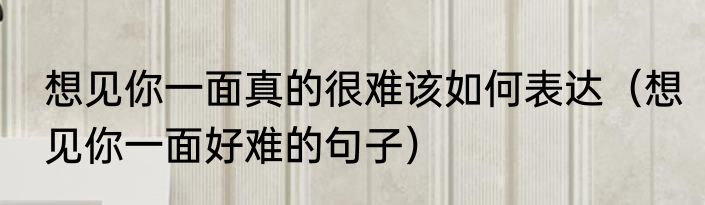 想见你一面真的很难该如何表达（想见你一面好难的句子）