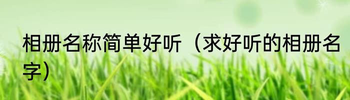 相册名称简单好听（求好听的相册名字）
