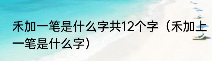 禾加一笔是什么字共12个字（禾加上一笔是什么字）