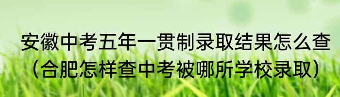安徽中考五年一贯制录取结果怎么查（合肥怎样查中考被哪所学校录取）