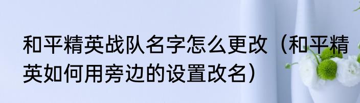 和平精英战队名字怎么更改（和平精英如何用旁边的设置改名）