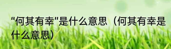 “何其有幸”是什么意思（何其有幸是什么意思）