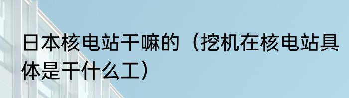 日本核电站干嘛的（挖机在核电站具体是干什么工）