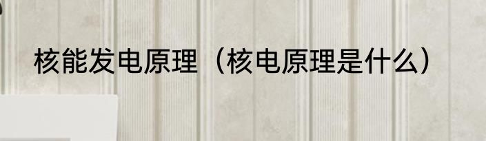 核能发电原理（核电原理是什么）