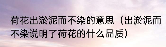 荷花出淤泥而不染的意思（出淤泥而不染说明了荷花的什么品质）