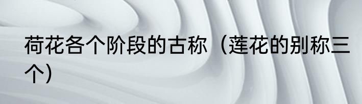 荷花各个阶段的古称（莲花的别称三个）