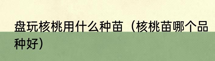 盘玩核桃用什么种苗（核桃苗哪个品种好）