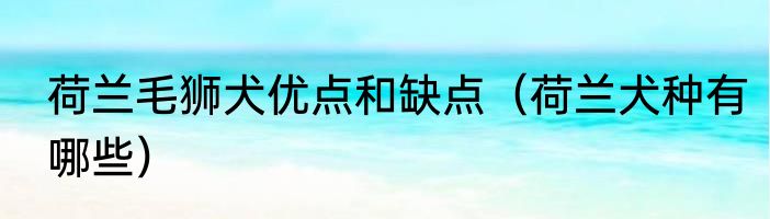 荷兰毛狮犬优点和缺点（荷兰犬种有哪些）