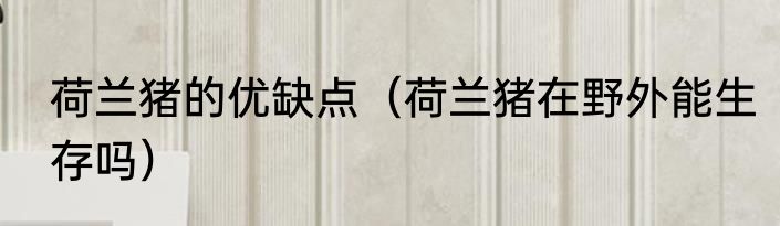 荷兰猪的优缺点（荷兰猪在野外能生存吗）