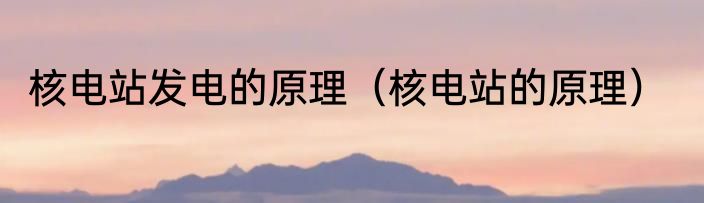 核电站发电的原理（核电站的原理）