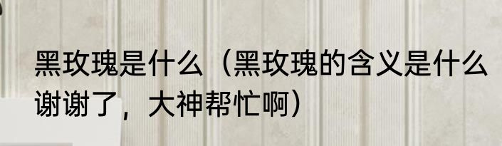 黑玫瑰是什么（黑玫瑰的含义是什么谢谢了，大神帮忙啊）