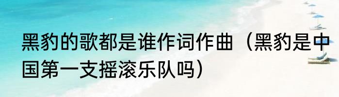 黑豹的歌都是谁作词作曲（黑豹是中国第一支摇滚乐队吗）