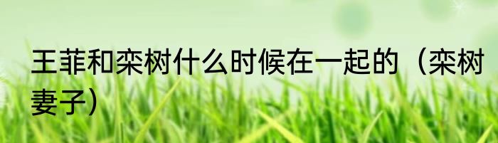 王菲和栾树什么时候在一起的（栾树妻子）