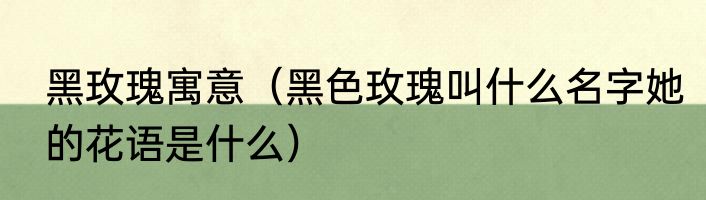 黑玫瑰寓意（黑色玫瑰叫什么名字她的花语是什么）