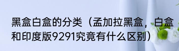 黑豹乐队主唱是窦唯还是秦勇（2013年黑豹乐队主唱）