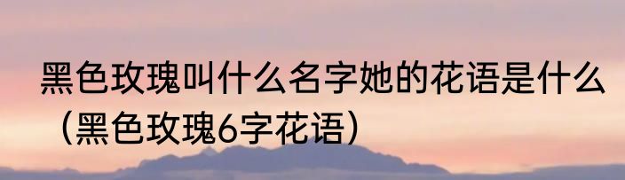 黑色玫瑰叫什么名字她的花语是什么（黑色玫瑰6字花语）