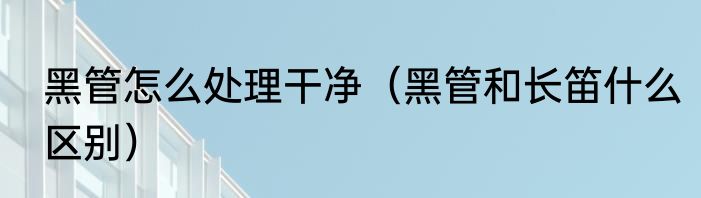 黑管怎么处理干净（黑管和长笛什么区别）